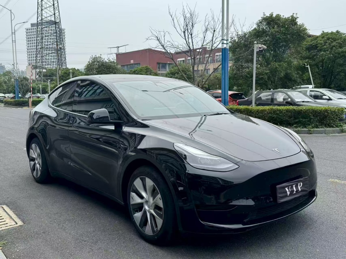 Tesla Model Y 2022 car image 