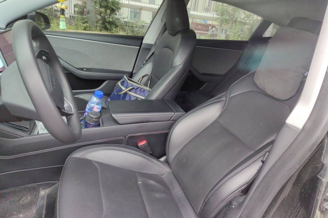 Tesla Model 3 2023 car image #18