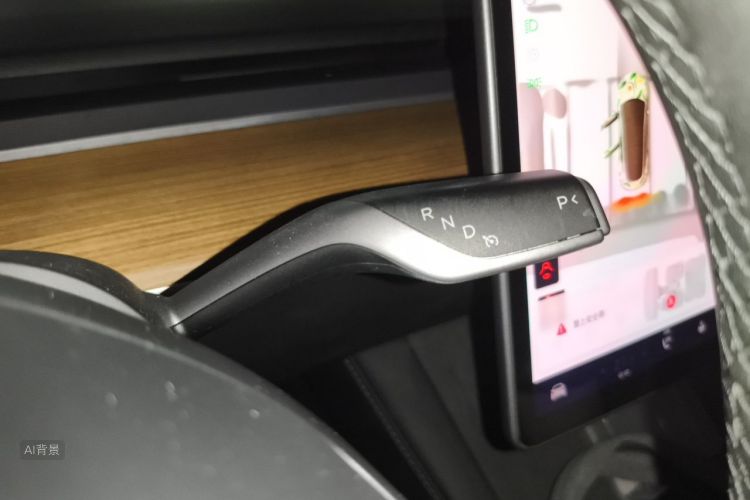 Tesla Model 3 2022 car image #16
