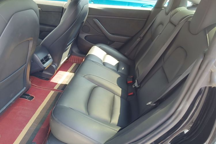 Tesla Model 3 2021 car image #17