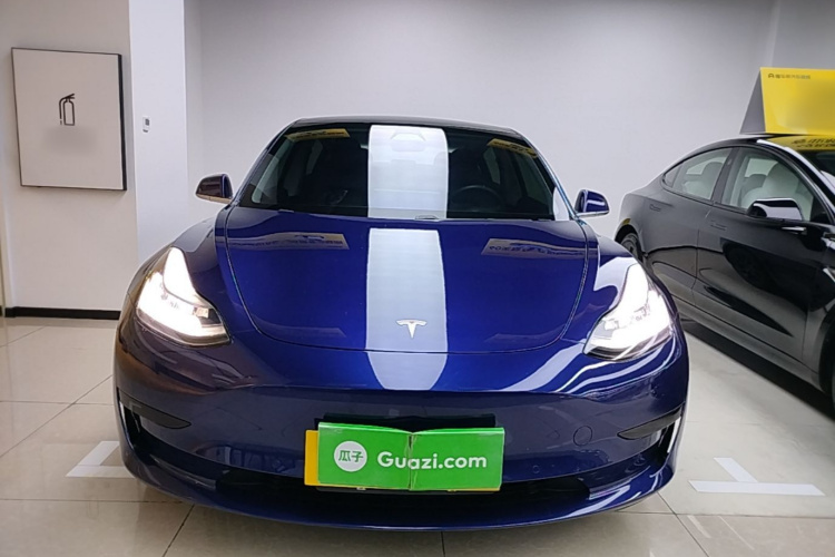 Tesla Model 3 2020 car image #3