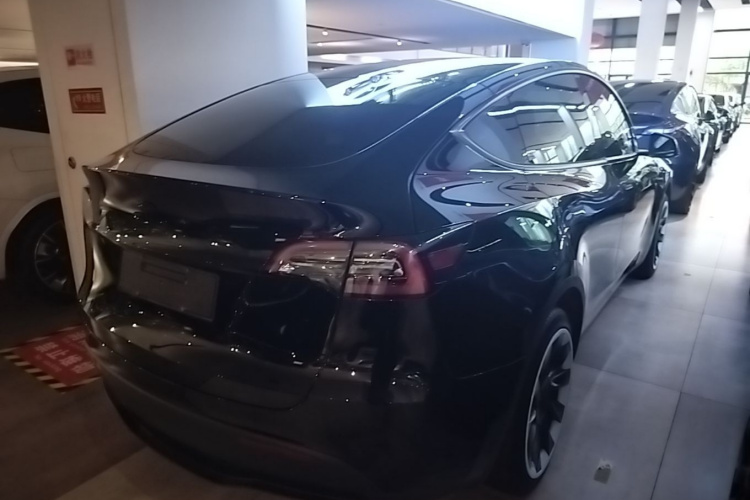Tesla Model Y 2023 #7 Tesla Model Y 2023 car image #7