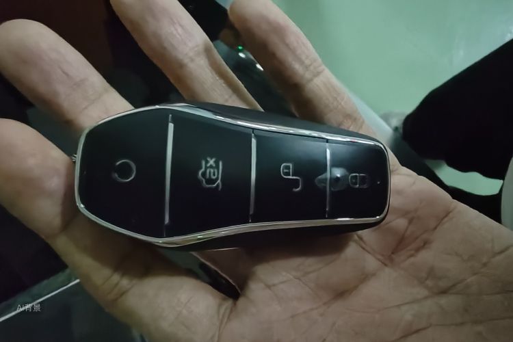 BYD Han 2023 car image #10