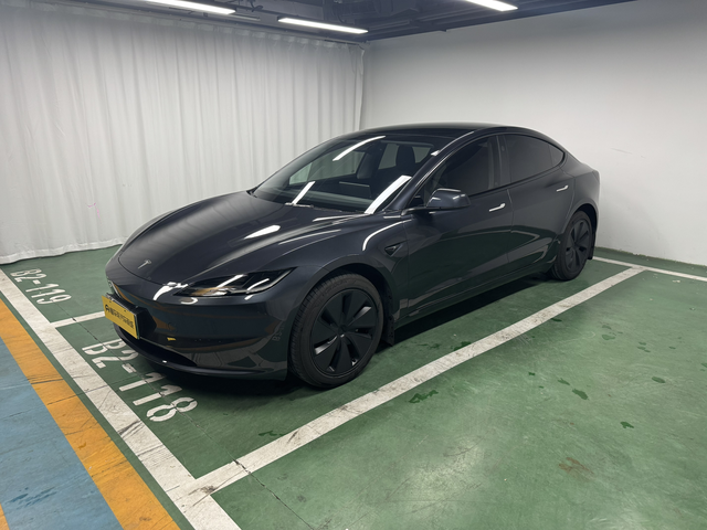 Tesla Model 3 2025 Tesla Model 3 2025 car image