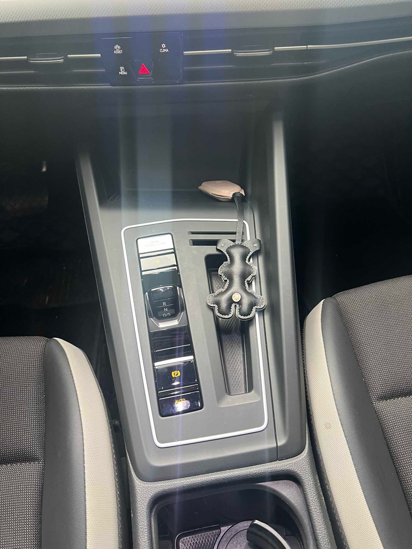 Volkswagen Golf 2023 car image #9