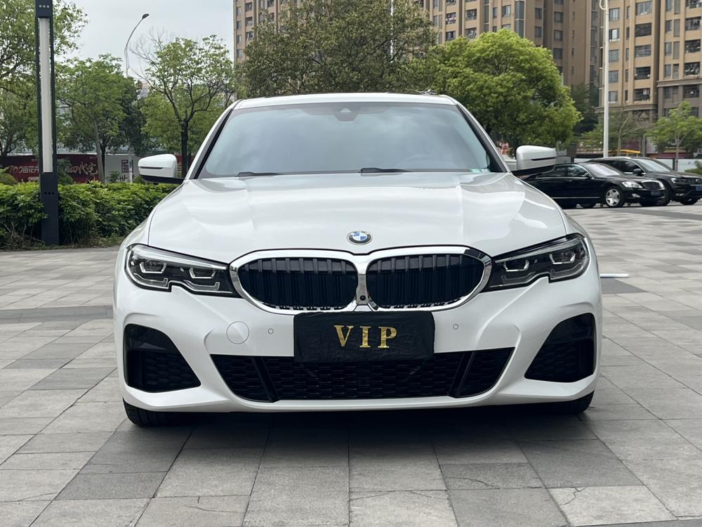BMW 3 Series 2019 car image #2