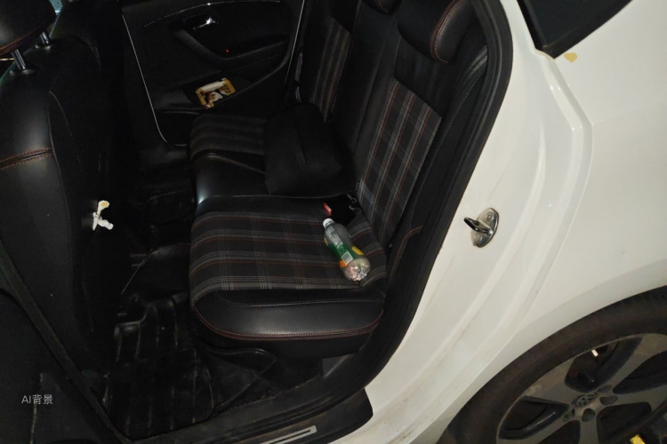 Volkswagen Polo 2016 car image #19
