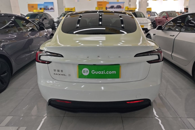 Tesla Model 3 2023 car image #6