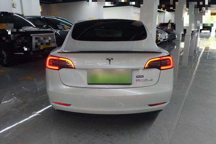 Tesla Model 3 2021 car image #4