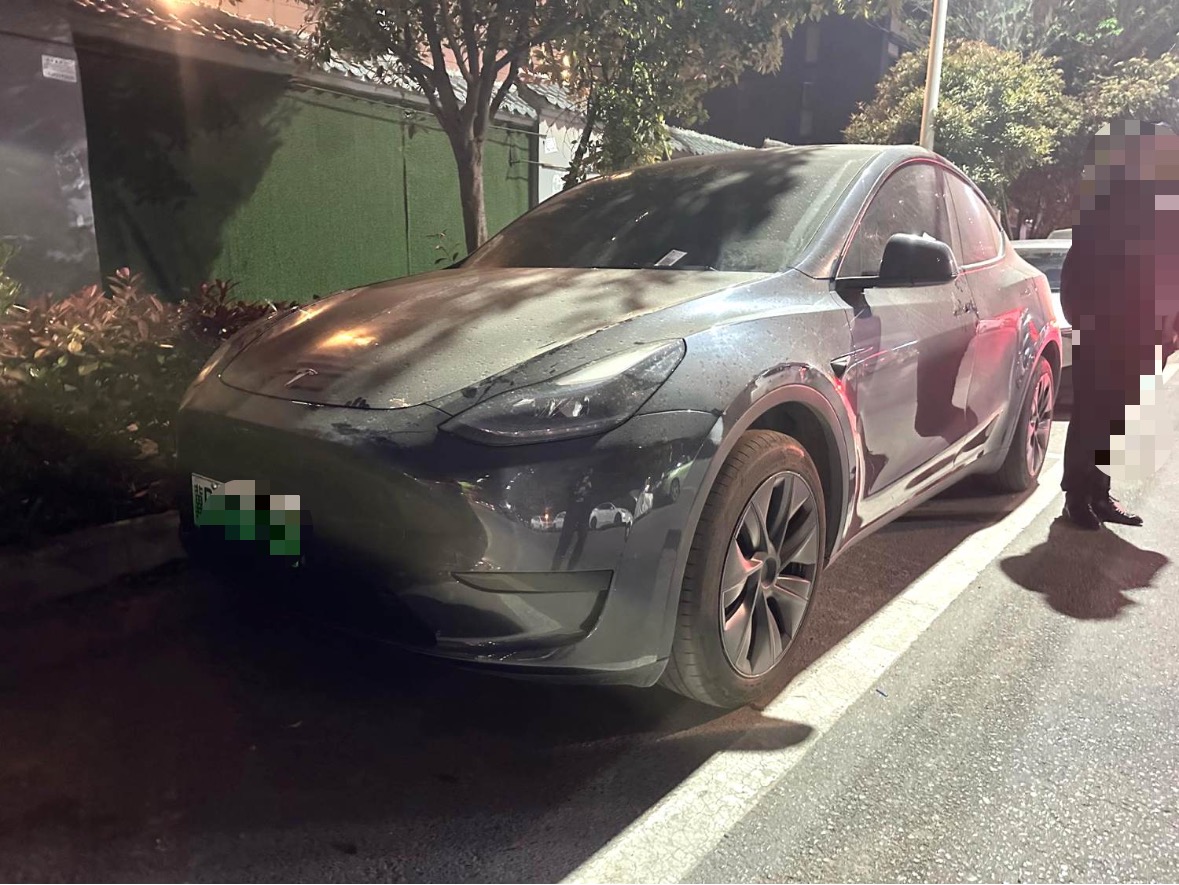 Tesla Model Y 2024 Tesla Model Y 2024 car image