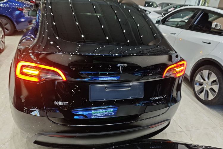 Tesla Model Y 2023 #6 Tesla Model Y 2023 car image #6