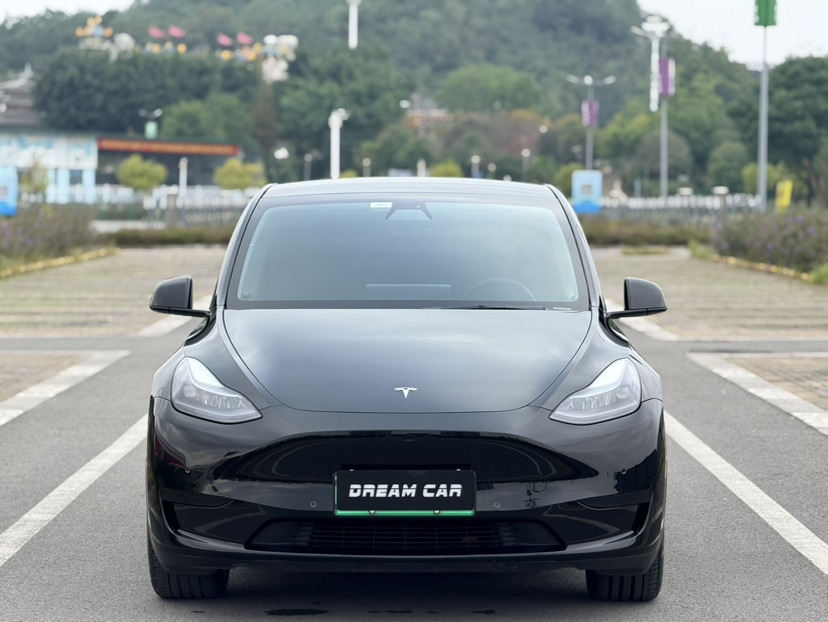 Tesla Model Y 2022 car image #2