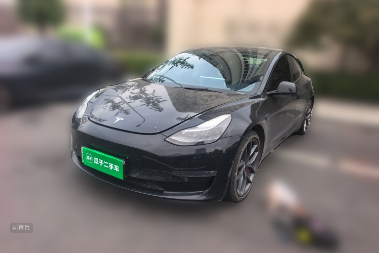 Tesla Model 3 2021 car image #2