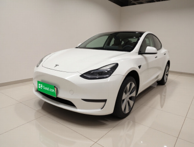 Tesla Model Y 2022 car image 