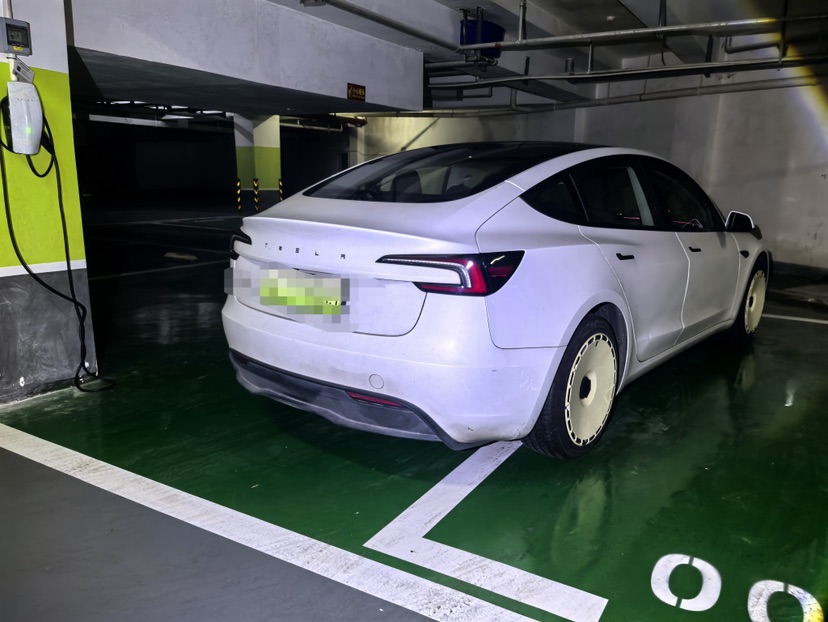 Tesla Model 3 2024 immagine di auto #3