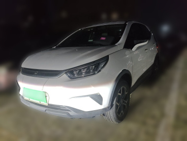 BYD Yuan Pro 2021 car image 