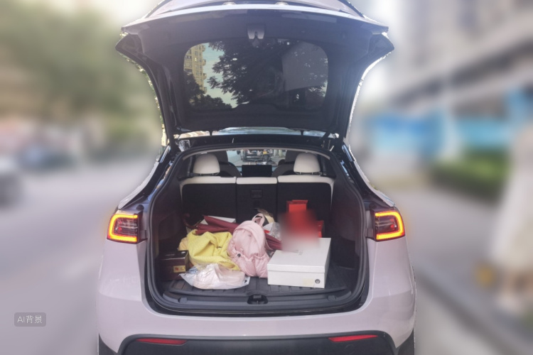 Tesla Model Y 2022 #21 Tesla Model Y 2022 car image #21