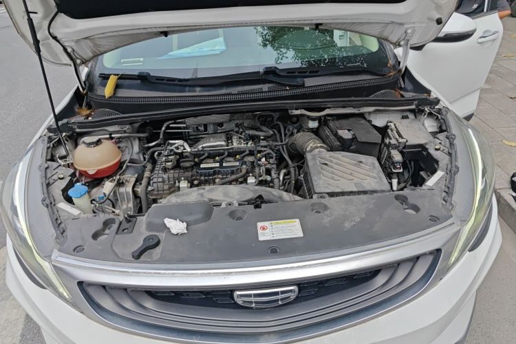 GEELY Emgrand GS 2020 car image #18