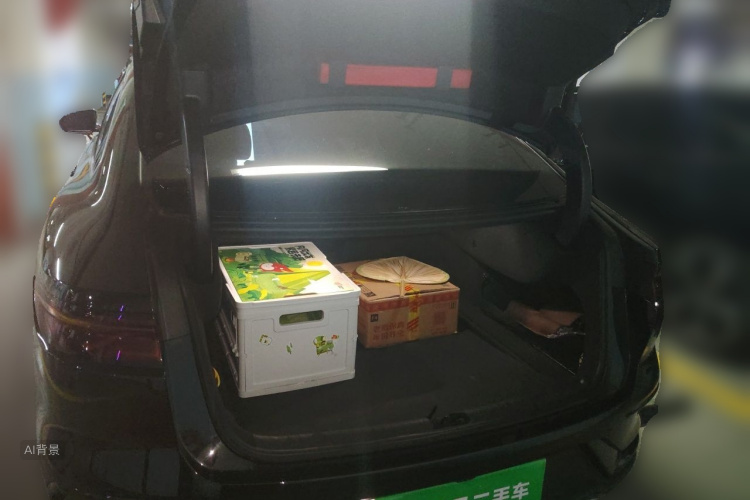 BYD Han 2024 #21 BYD Han 2024 immagine di auto #21