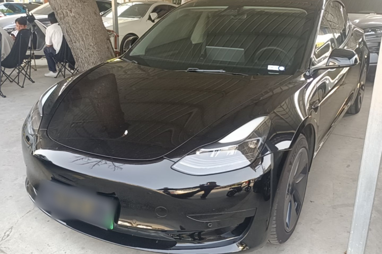 Tesla Model 3 2021 car image #2