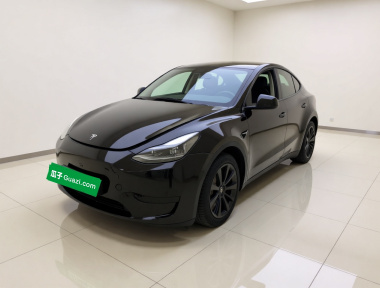 Tesla Model Y 2022 Tesla Model Y 2022 car image