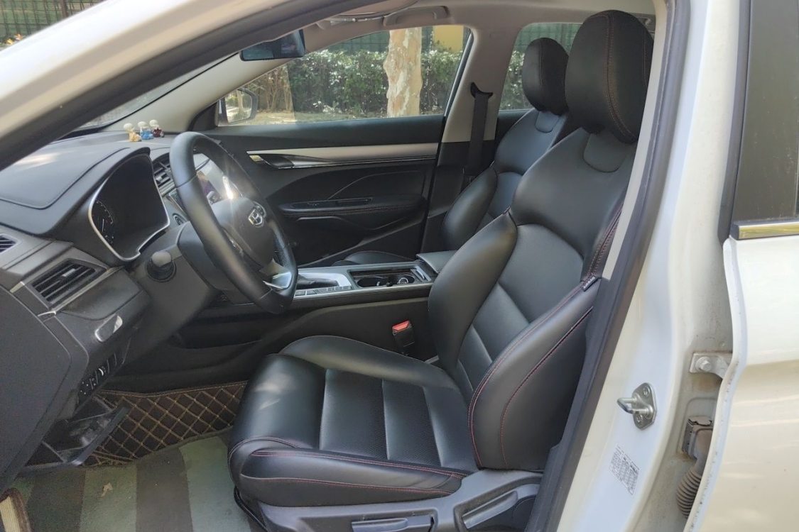 GEELY Binray 2020 #18 GEELY Binray 2020 immagine di auto #18