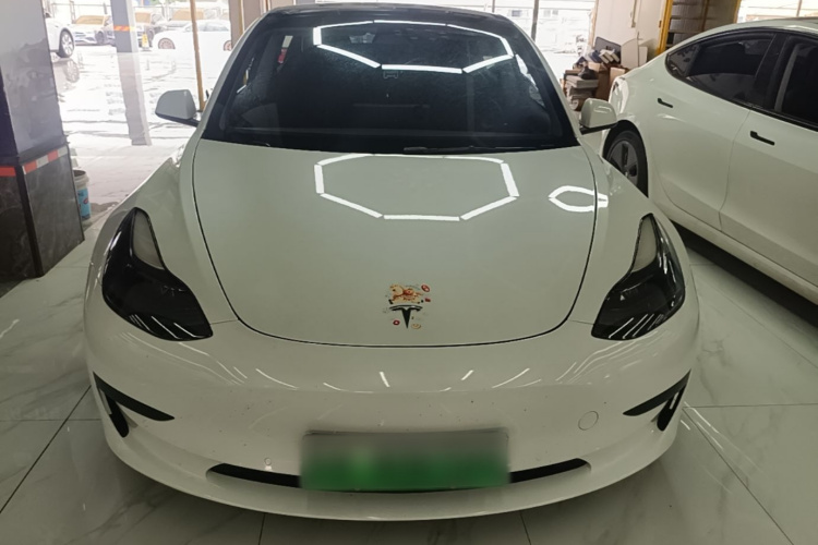Tesla Model 3 2021 car image #3