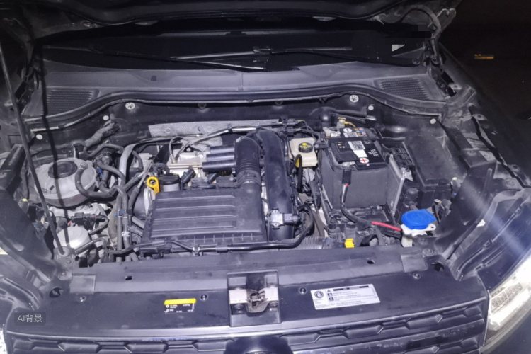 Volkswagen Tharu 2020 car image #22