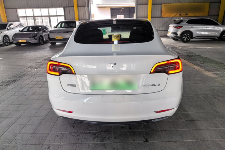 Tesla Model 3 2022 immagine di auto #6