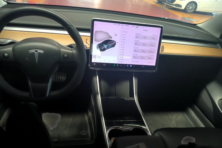 Tesla Model 3 2020 car image #10