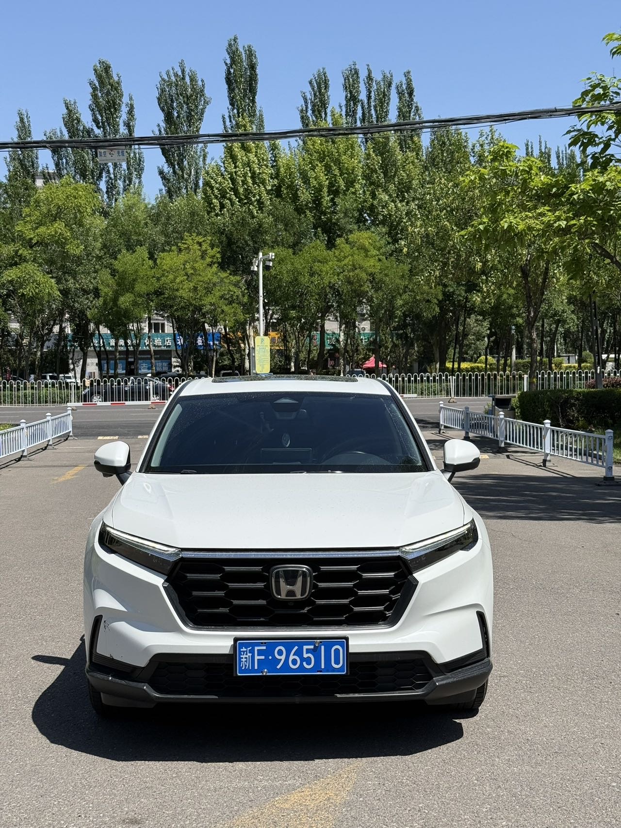 Honda CR-V 2023 Honda CR-V 2023 car image