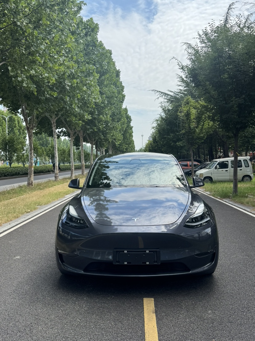 Tesla Model Y 2023 car image #2