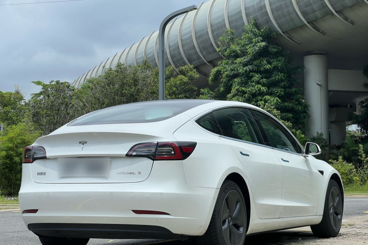 Tesla Model 3 2020 #7 Tesla Model 3 2020 car image #7