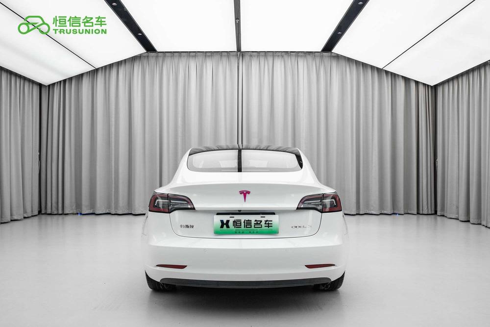 Tesla Model 3 2020 car image #5