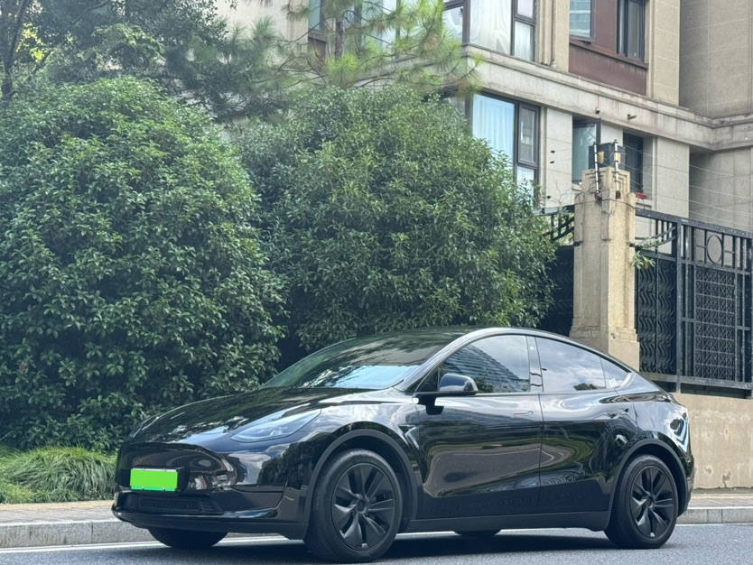 Tesla Model Y 2024 Tesla Model Y 2024 car image