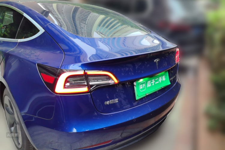 Tesla Model 3 2020 car image #6