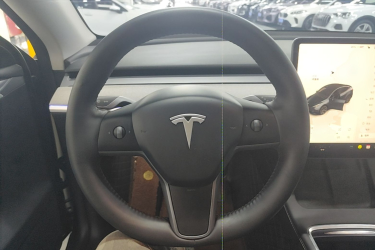 Tesla Model Y 2024 car image #15