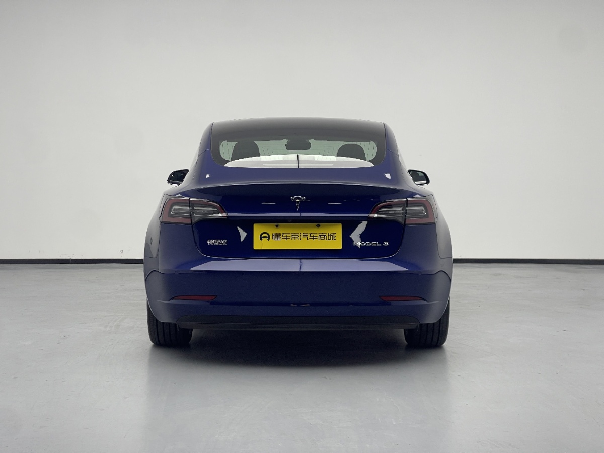 Tesla Model 3 2020 car image #8