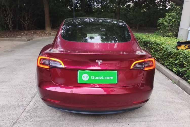 Tesla Model 3 2021 #6 Tesla Model 3 2021 car image #6