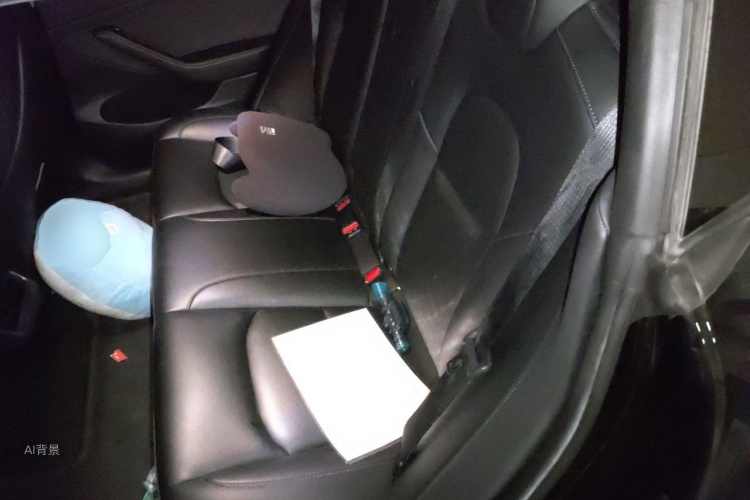 Tesla Model 3 2022 car image #19
