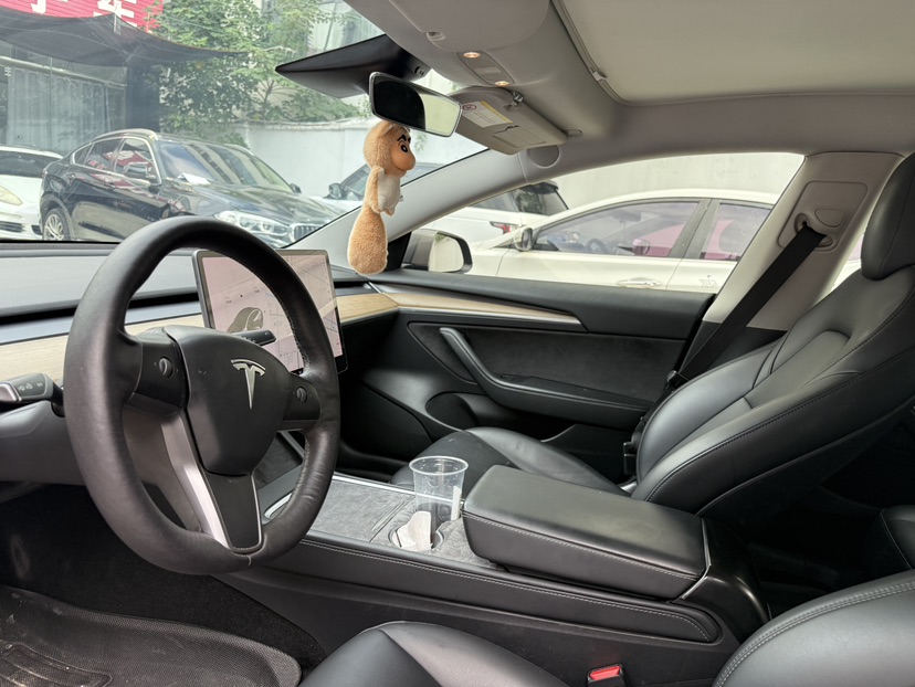 Tesla Model 3 2021 car image #3