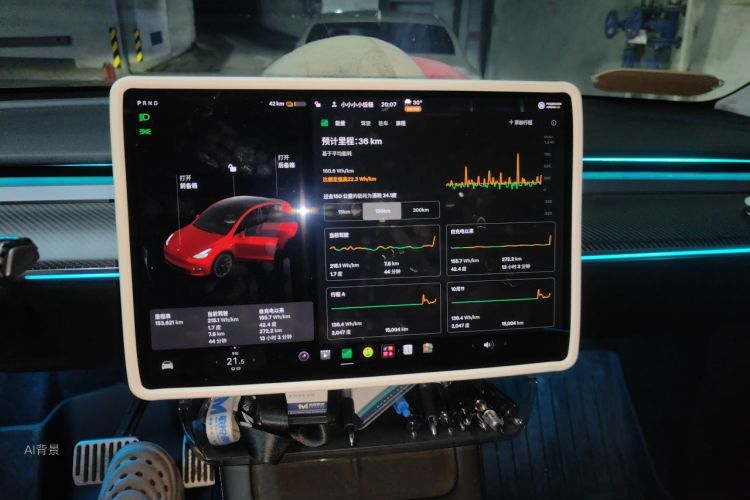 Tesla Model Y 2021 car image #13