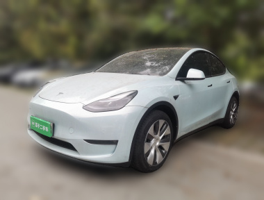 Tesla Model Y 2022 car image 