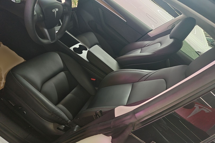Tesla Model 3 2021 car image #19