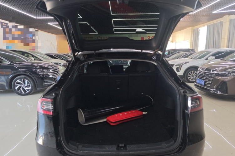Tesla Model Y 2021 car image #19