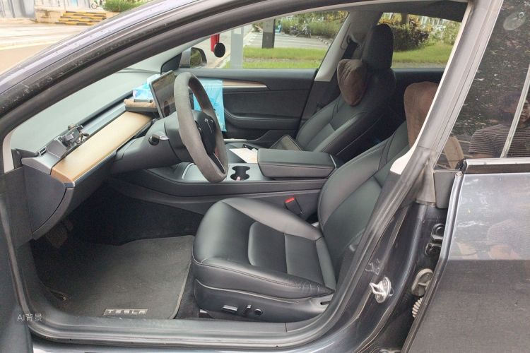 Tesla Model 3 2021 car image #17