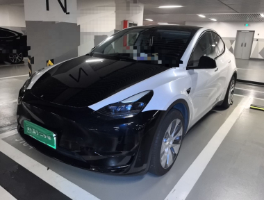 Tesla Model Y 2022 Tesla Model Y 2022 car image