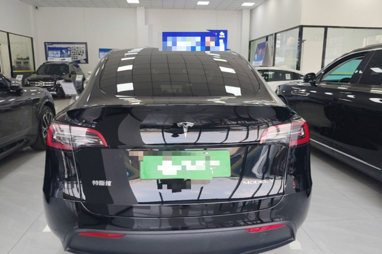 Tesla Model Y 2023 #6 Tesla Model Y 2023 car image #6