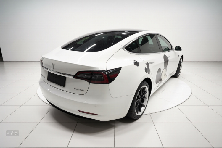 Tesla Model 3 2020 car image #7