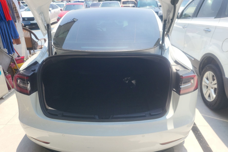 Tesla Model 3 2021 #19 Tesla Model 3 2021 car image #19